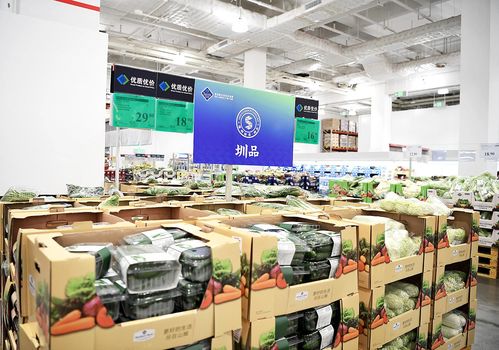 圳品引領深圳食品業做大做強，教育軟件技術開發如何賦能新賽道